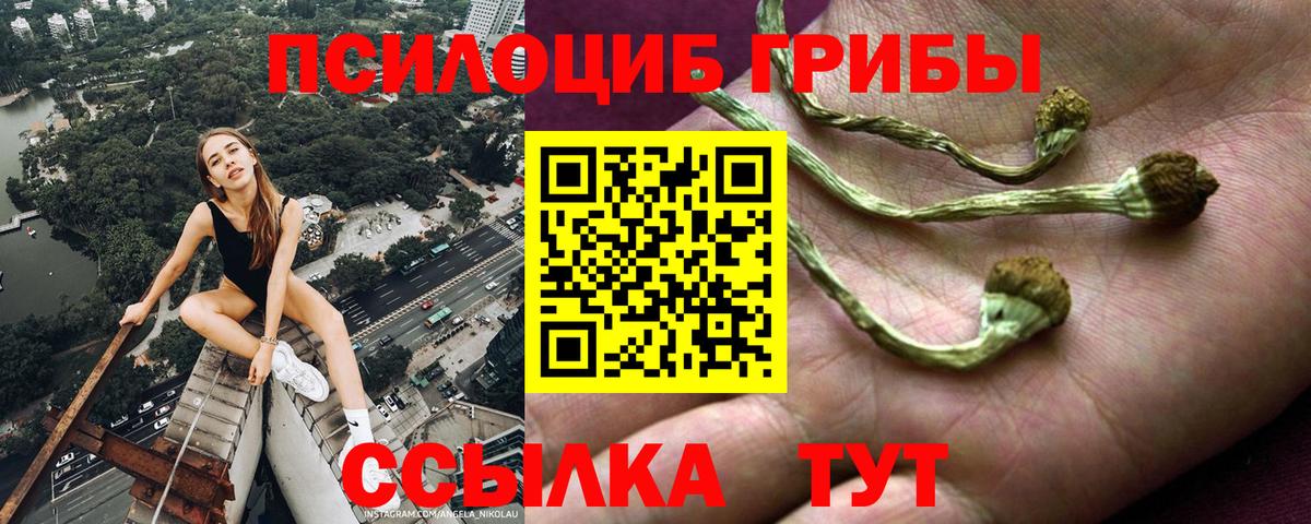 Галлюциногенные грибы Cubensis Ревда