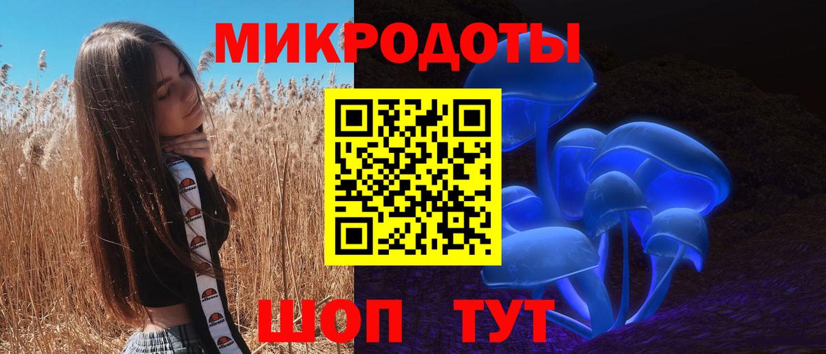 Ревда  сколько стоит  Вход с VPN  Псилоцибиновые грибы Cubensis 